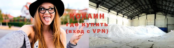 ГАЛЛЮЦИНОГЕННЫЕ ГРИБЫ Белокуриха