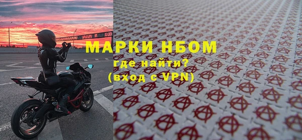 ГАЛЛЮЦИНОГЕННЫЕ ГРИБЫ Белокуриха
