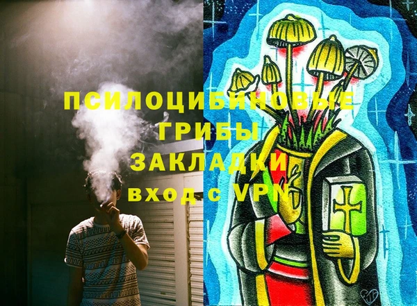 ГАЛЛЮЦИНОГЕННЫЕ ГРИБЫ Белокуриха