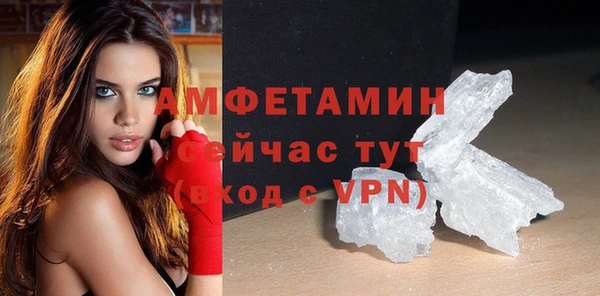 ГАЛЛЮЦИНОГЕННЫЕ ГРИБЫ Белокуриха