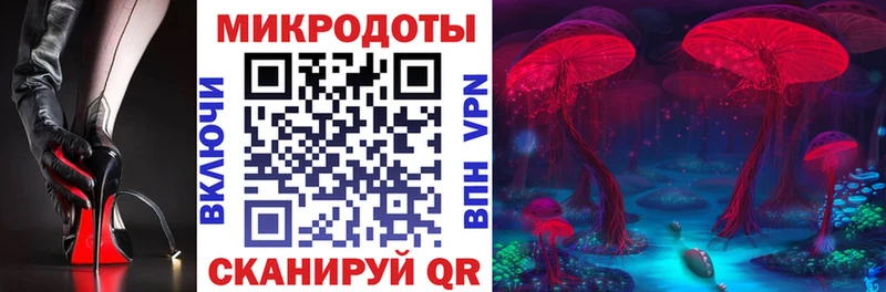 как найти закладки Бугульма Псилоцибиновые грибы Psilocybine cubensis