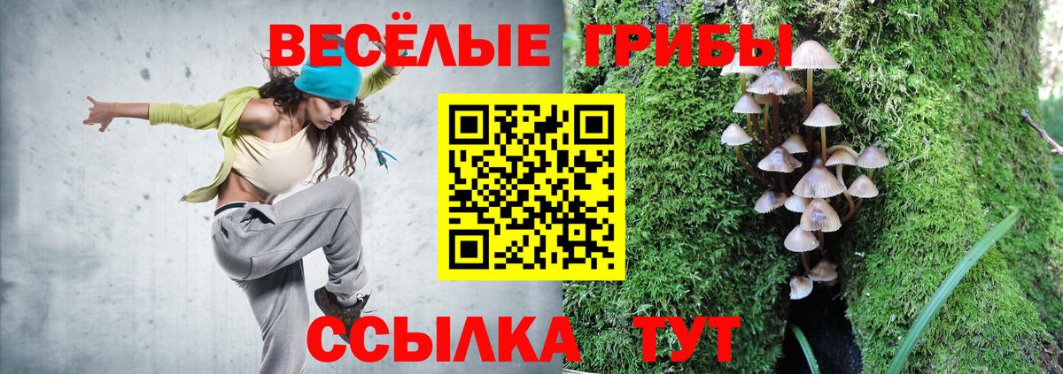 Бугульма  Галлюциногенные грибы ЛСД  Вход с VPN  Псилоцибиновые грибы Cubensis 